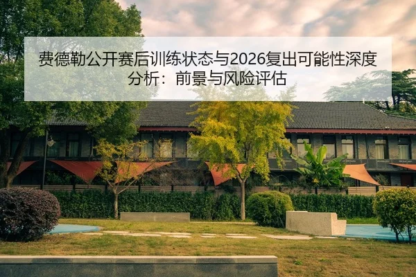 费德勒公开赛后训练状态与2026复出可能性深度分析：前景与风险评估